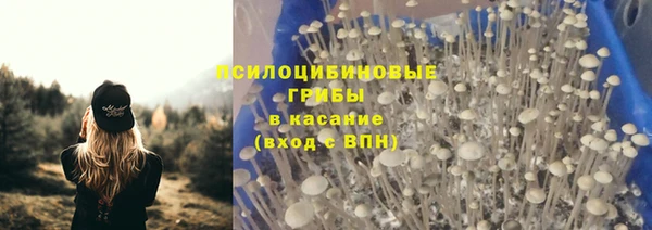 МДПВ Новокубанск