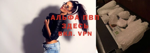 трава Новодвинск